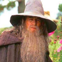 Gandolf The Gray